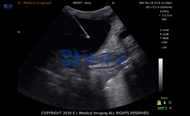 EVO 马活体采卵-文件不清晰-水印.jpg