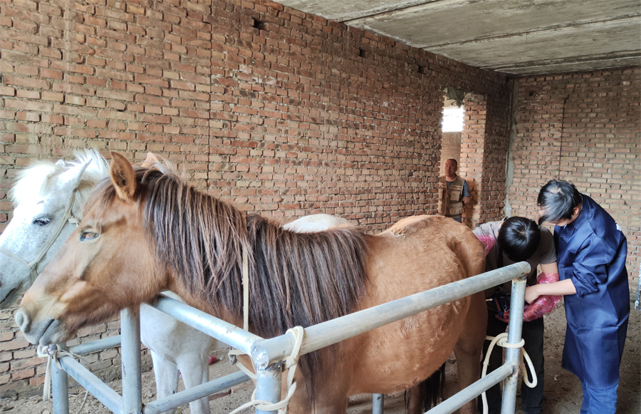 2022.05 v50测马图片 (6).jpg