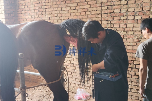 2022.05 v50测马图片 (4).jpg