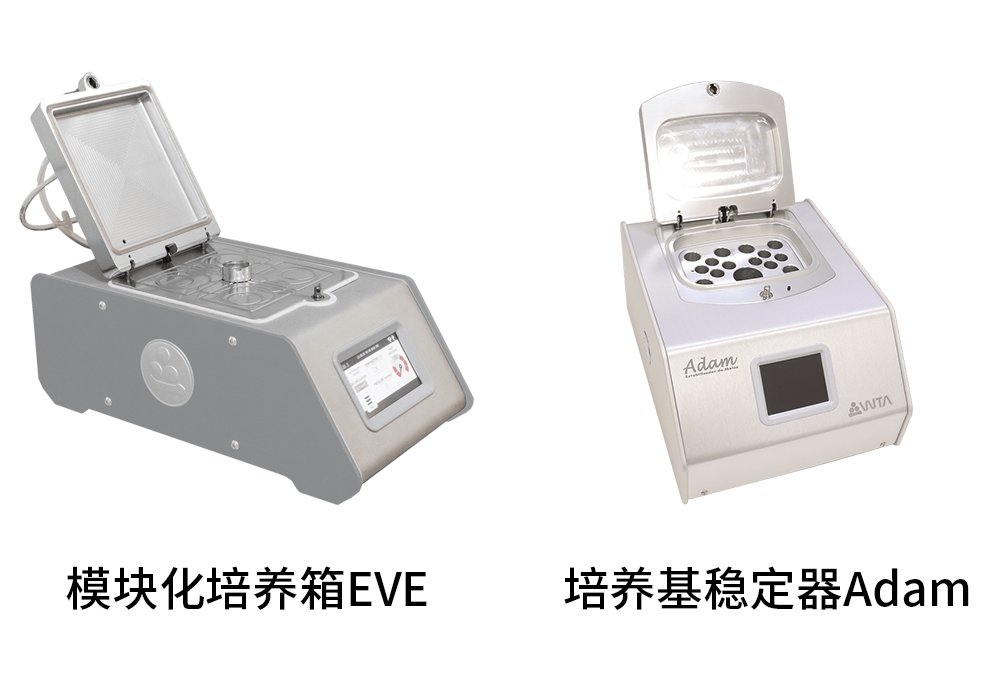 牛马IVF体外受精过程中培养基稳定器与模块化培养箱的作用及区别