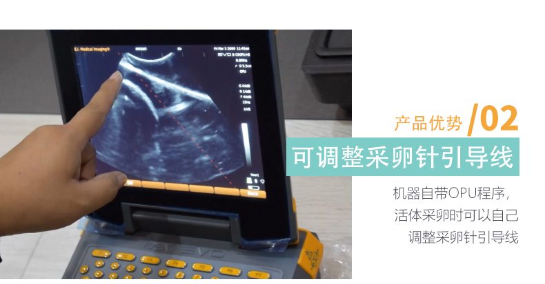 带有牛马采卵引导线