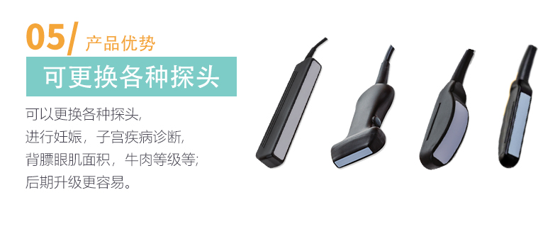 可以使用各种超声探头