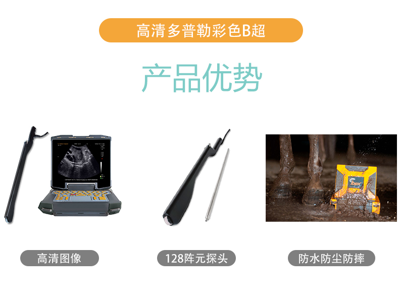 小型高清牛用采卵B超机探头