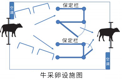 牛opu采卵室平面图